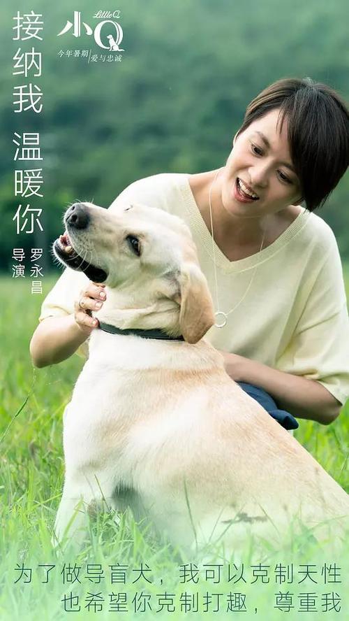 哪里能买到罗切斯特大学文凭毕业证